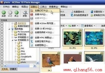 ΪҳACDSee10