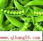 豌豆