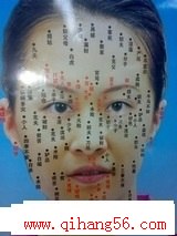 Ůϵͼ